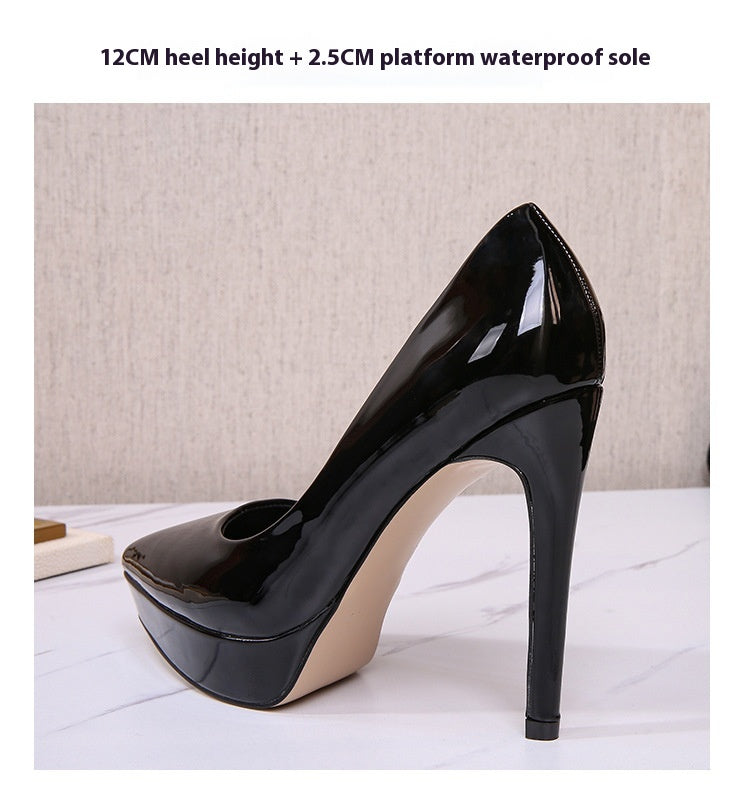 Pointed Toe Catwalk Fashion Career Stilettos High Heels
