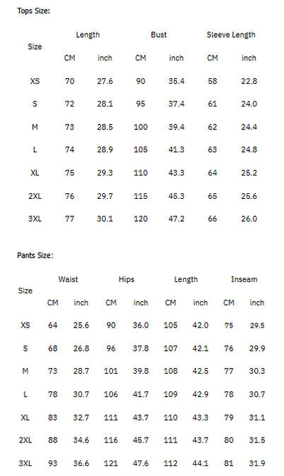 2 Pcs Set Women Suit Coat Pants Suit Lapel Long Sleeves Lady Jacket Wide Leg High Waist Trousers Female Commuting Office Outfit